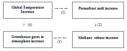 Diagram: The Methane Release Feedback Cycle