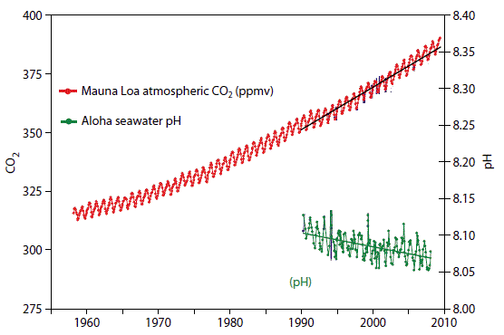 Graph: Ocean Acidity and CO2 Levels (Skeptical Science)