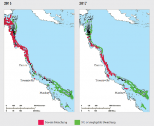 A map showing where the Great Barrier Reef bleached in 2016 and 2017