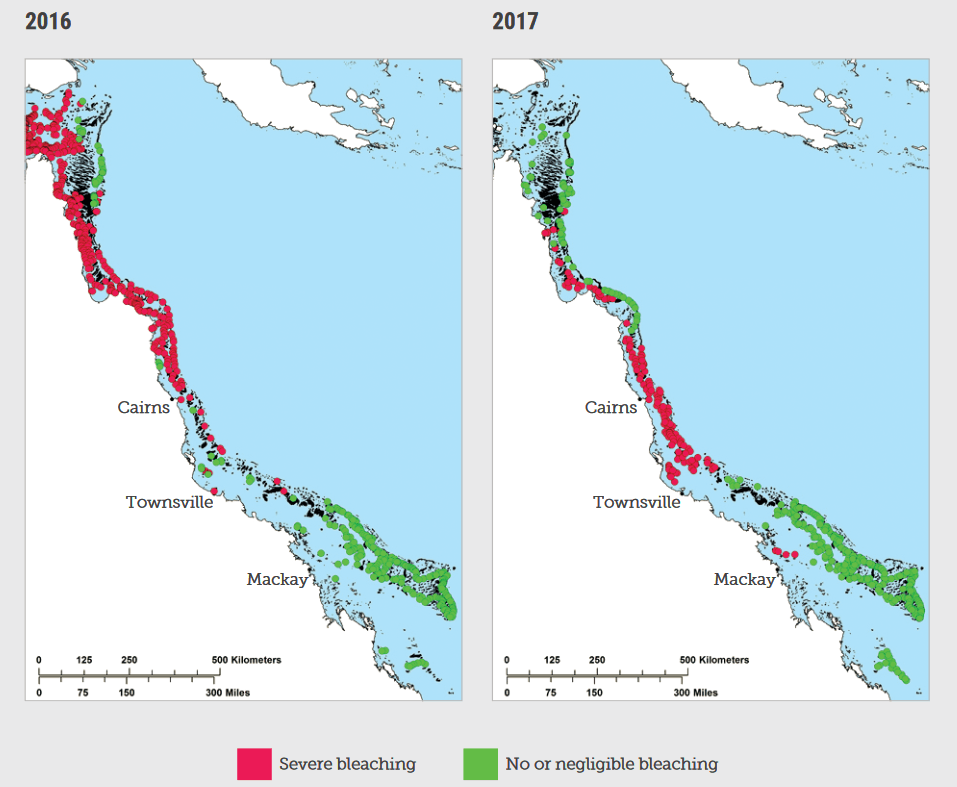 A map showing where the Great Barrier Reef bleached in 2016 and 2017