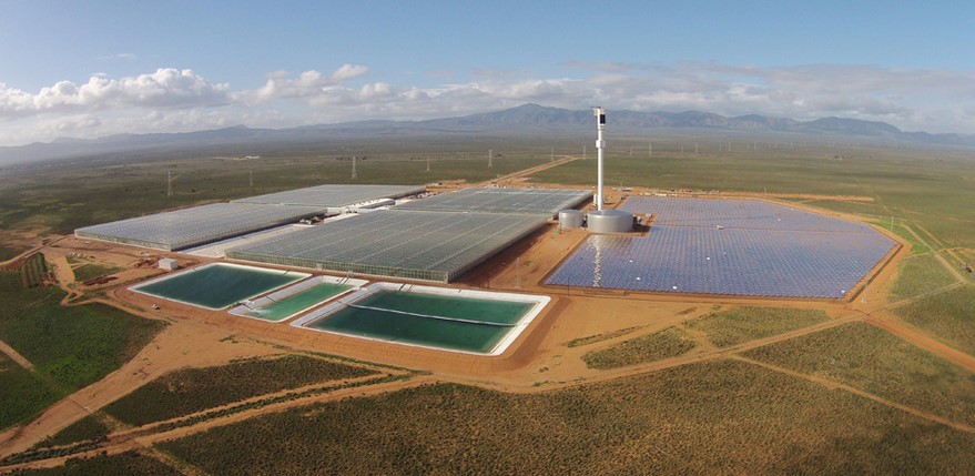 Sundrop Farm South Australia an oasis in an arid landscape