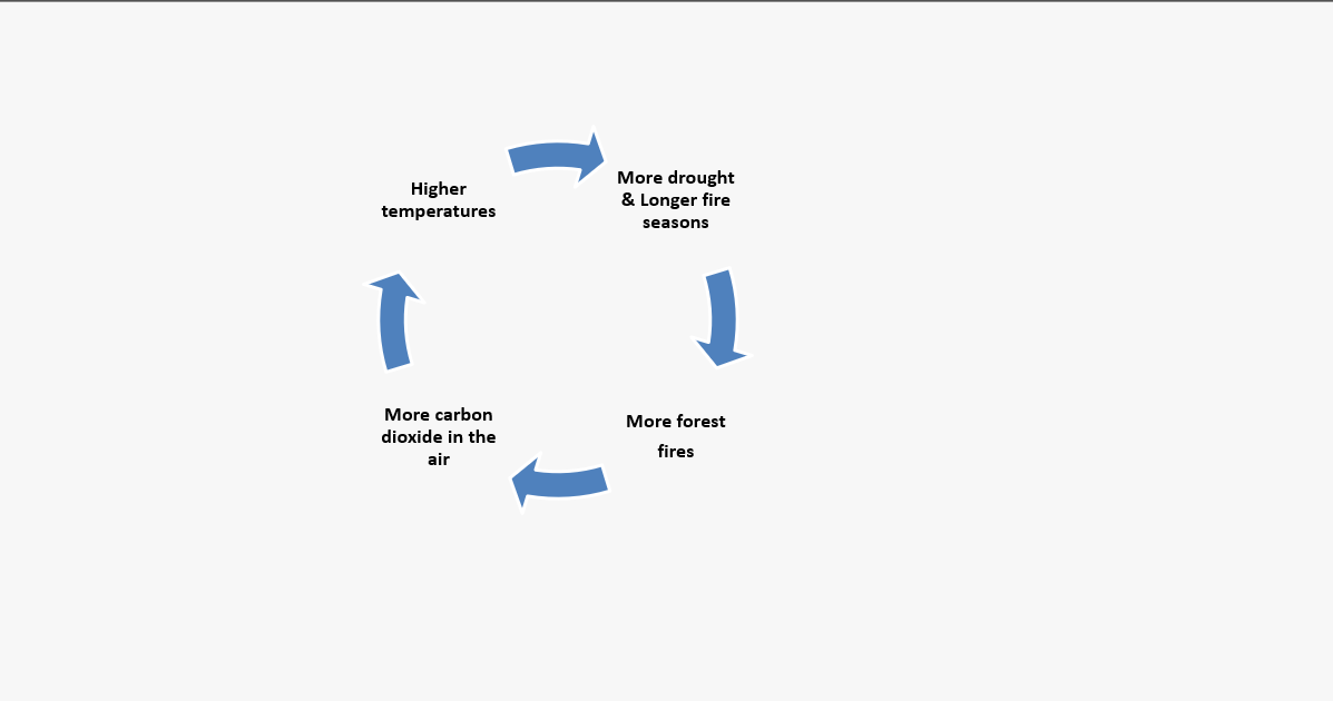 A diagram showing how fires can form a vicious cycle and intensify climate change