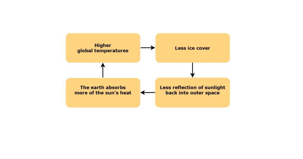 Diagram: This feedback cycle increases global heating, reduces ice cover, and reduces sunlight reflection